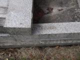 image of grave number 665292